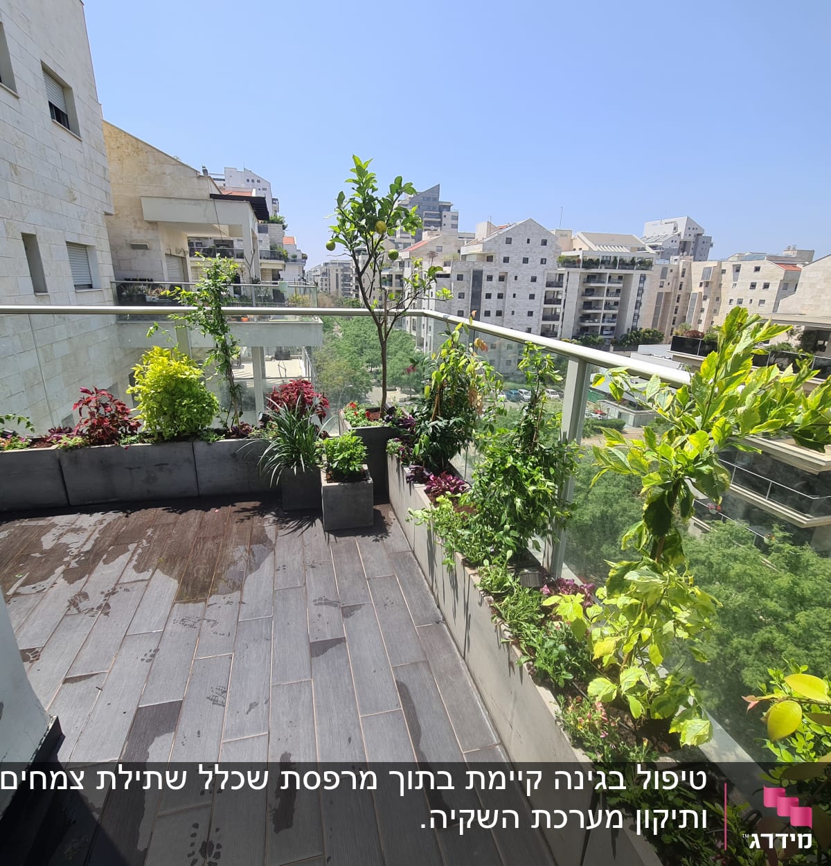 מרפסת עם עציצים וצמחים ירוקים ופורחים